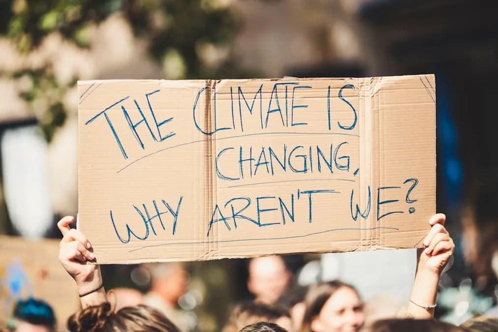 AI & Climate Change: Solutions, Risks & Impact