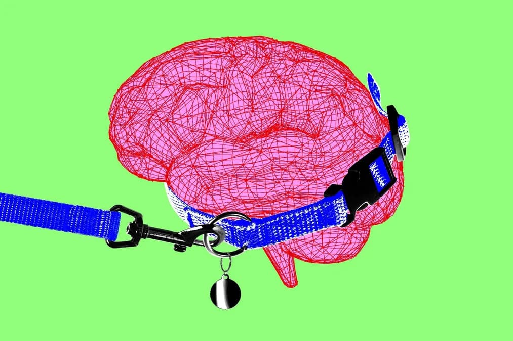 Anthropic CEO Calls to Slow Down AI Development