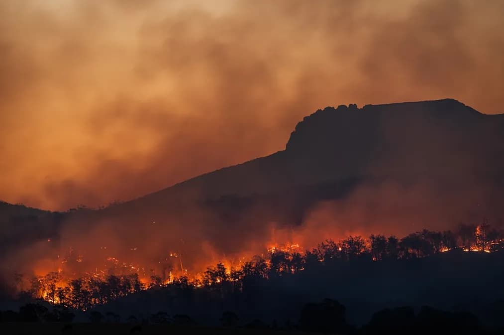 COP31 2026: Everything to Know About the UN Climate Summit