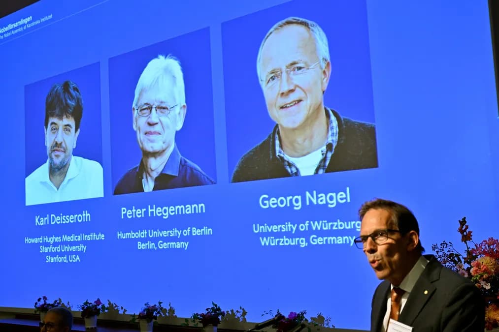 Nobel Medicine Prize 2026: Brain Nerve Cell Research