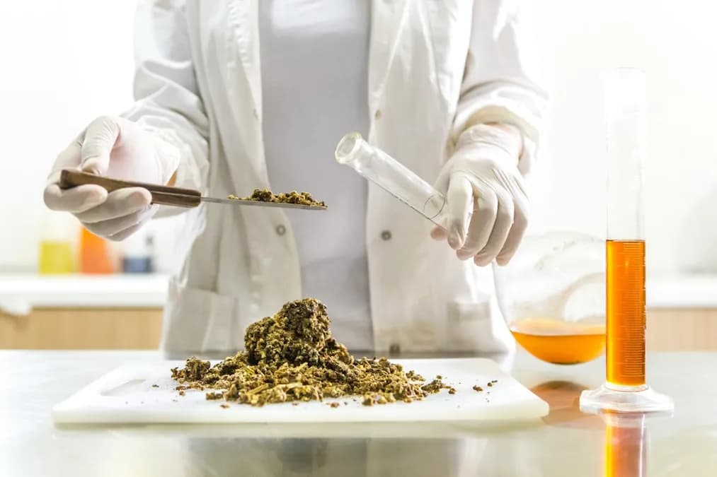 FDA Wants to Add Toxic Chemicals to Food Unchecked