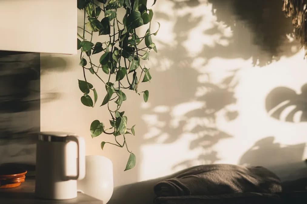 Inside Climate Change: How It Affects Your Home